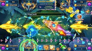 bet59511